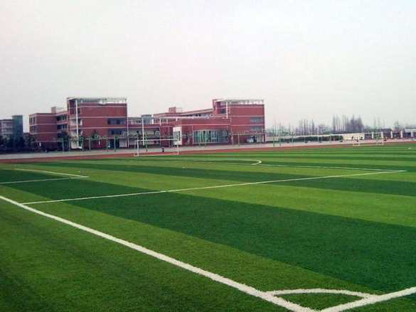 巴州硅PU球场茂华体育新疆人造草坪买到假的会有什么害处